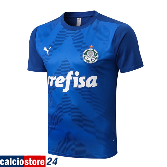 T Shirt Allenamento Palmeiras Blu 2022/2023