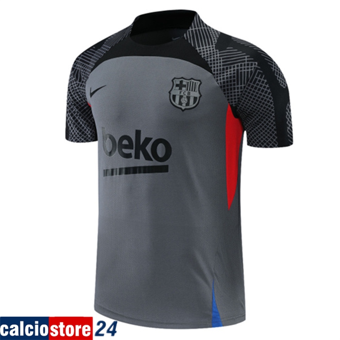 T Shirt Allenamento FC Barcellona Grigio 2022/2023