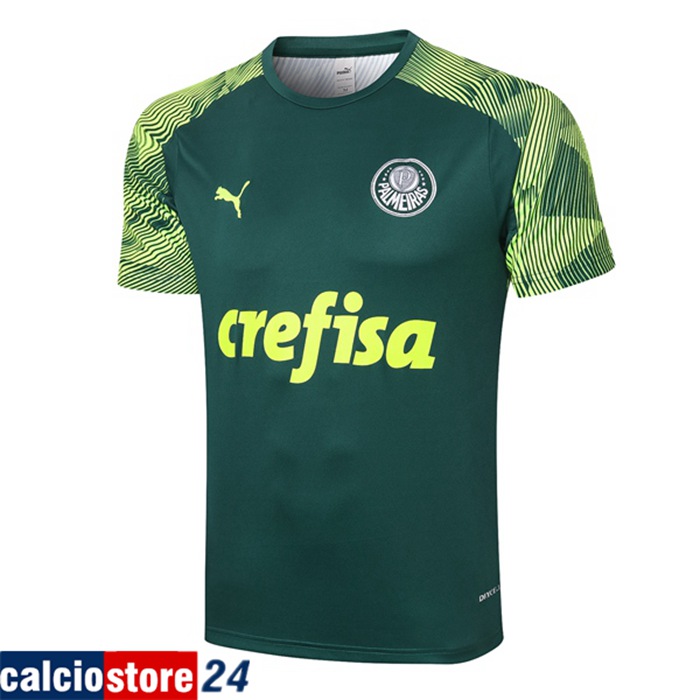 Nuove T Shirt Allenamento Palmeiras Verde 2020/2021